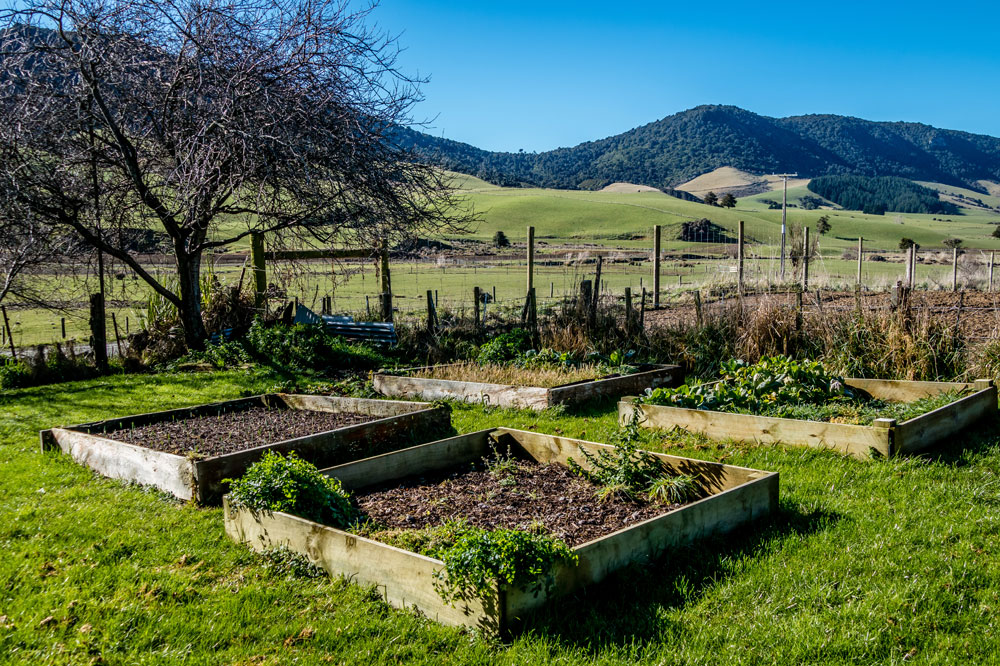 New Zealand